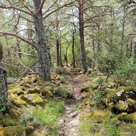 Bonito Y Luminoso Con Wifi Y Chimenea Aizu - Apartment *